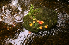 石、水、葉2