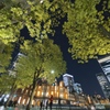 東京駅1