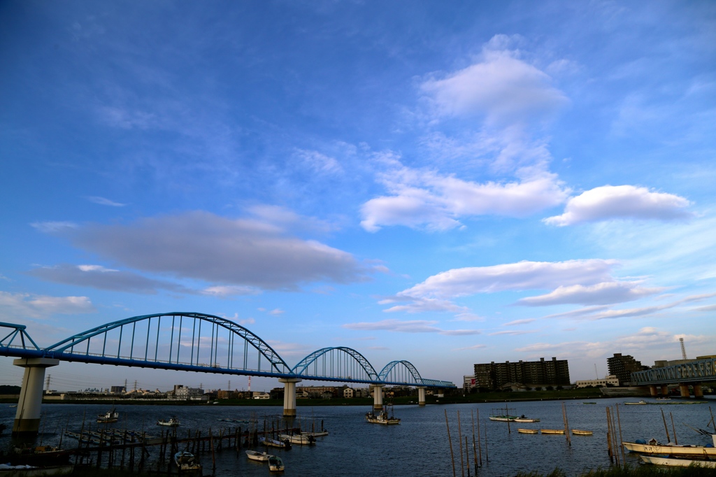 江戸川の朝