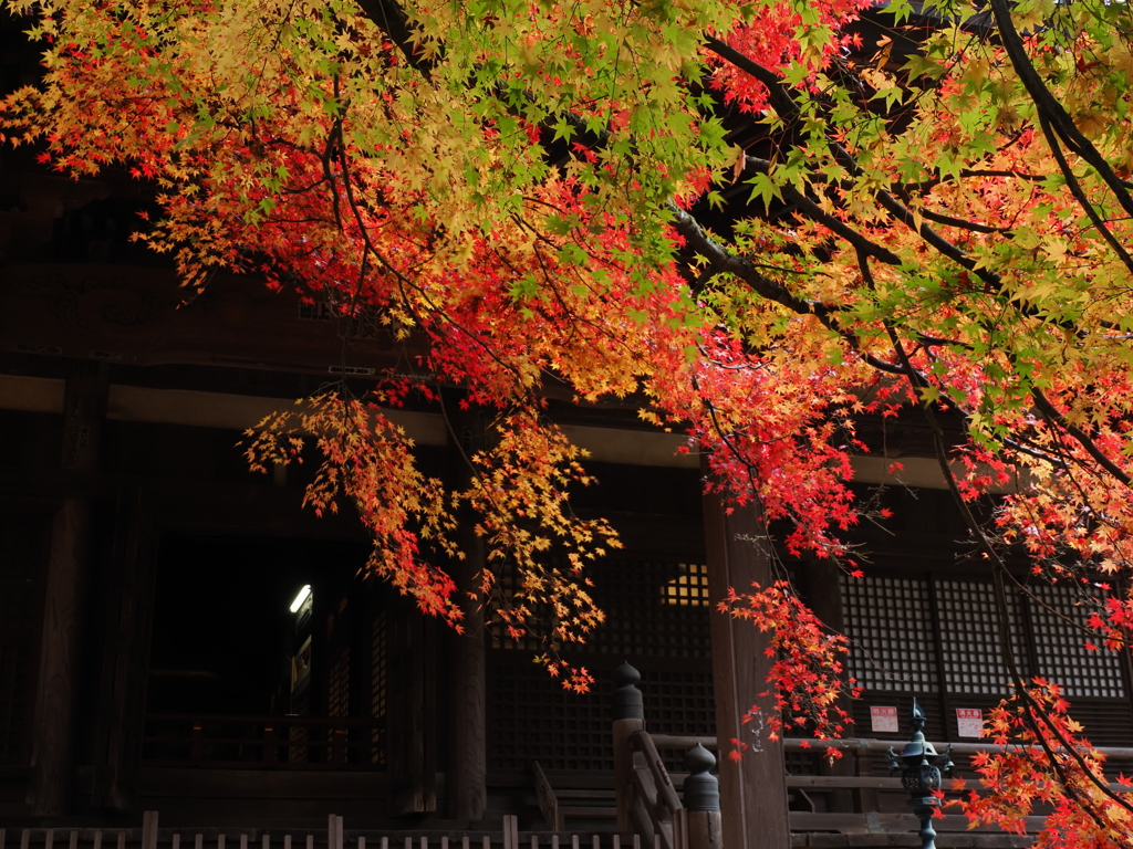 施福寺