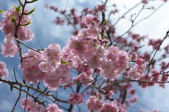 束の間の青空