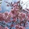 束の間の青空