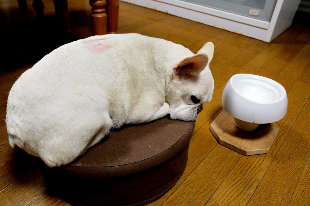 待ちくたびれて