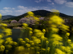 春の三輪山