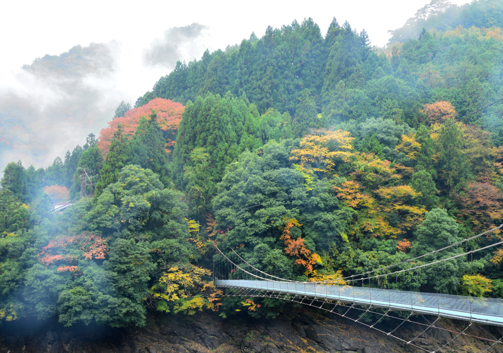 十津川の吊り橋