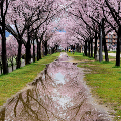 雨上がり