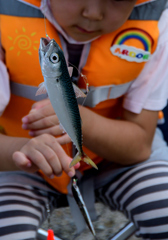 ぎょ　釣られた