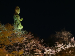 壷阪寺の観音さん