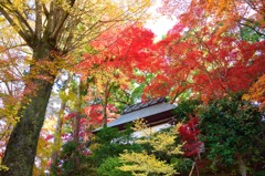 秋　紅葉のお堂