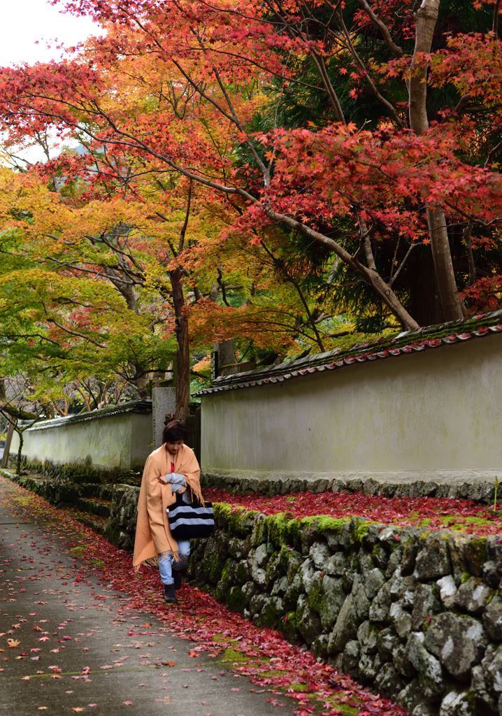 山寺の秋