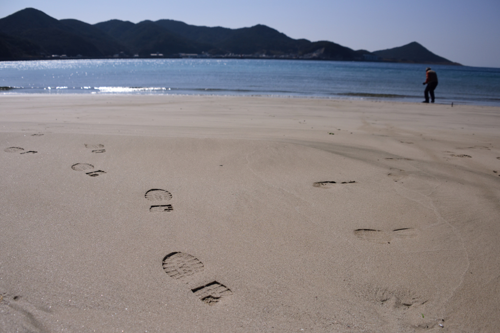 早春の浜辺