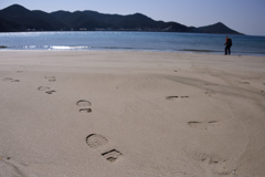 早春の浜辺