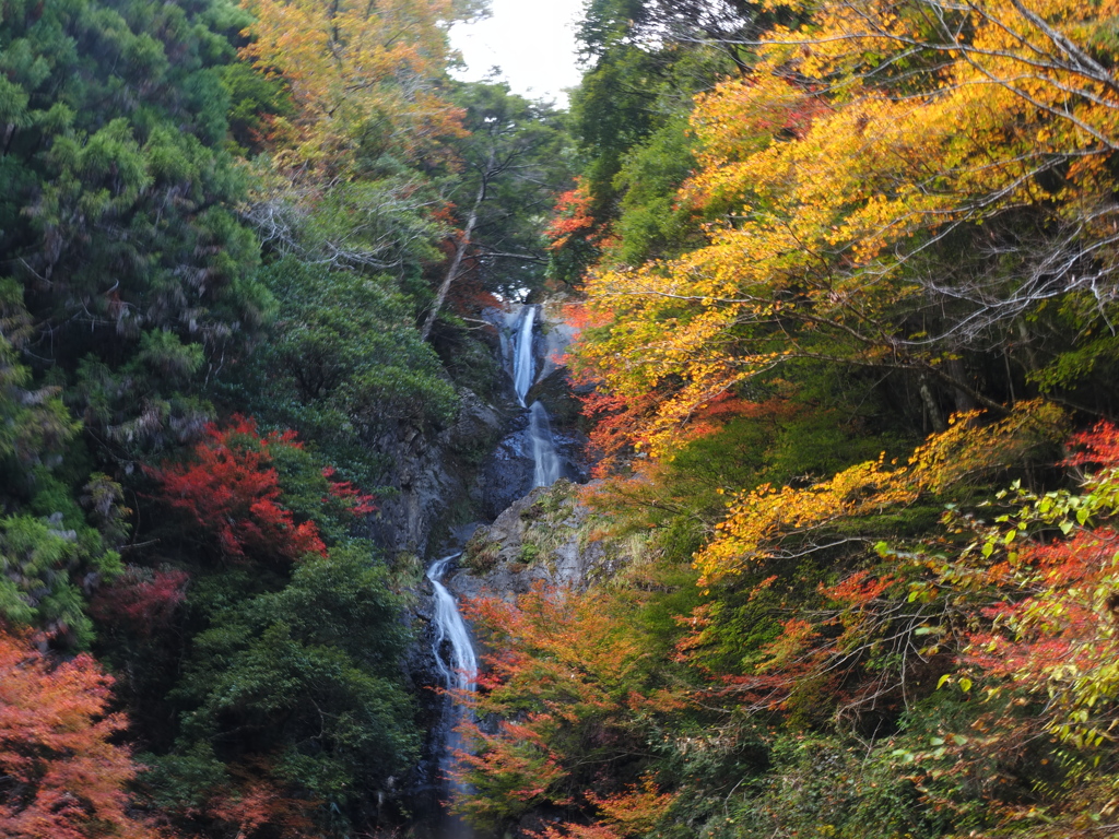 宮の滝