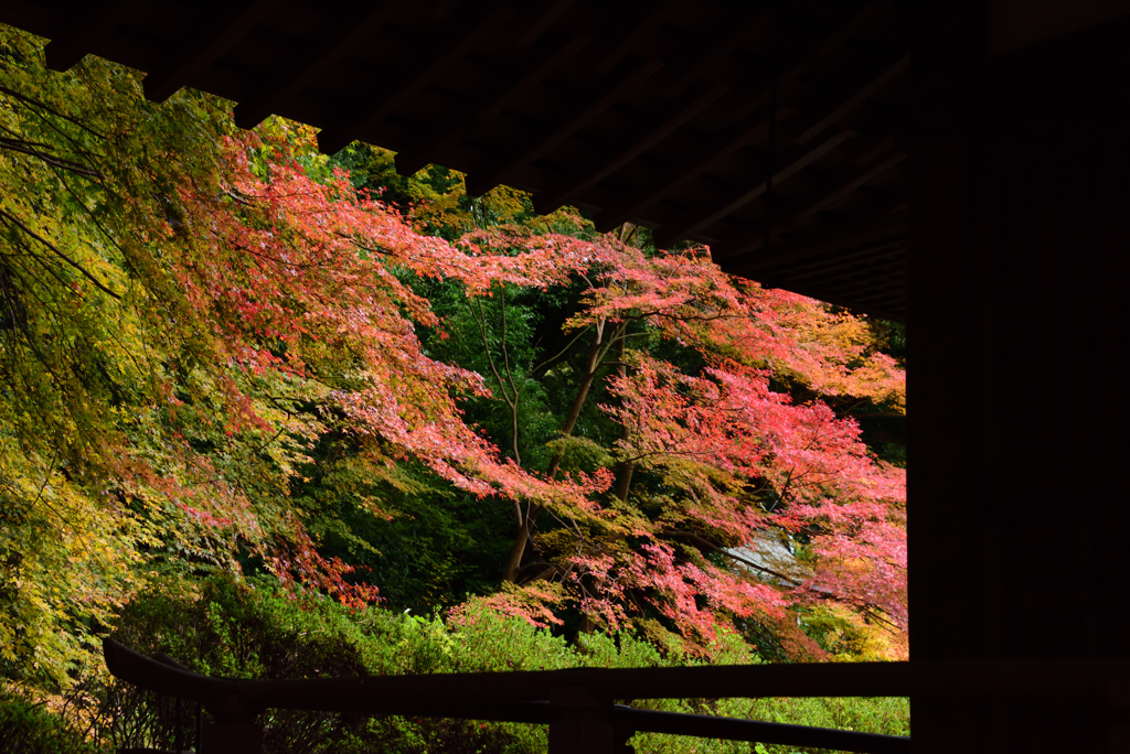弘川寺の紅葉