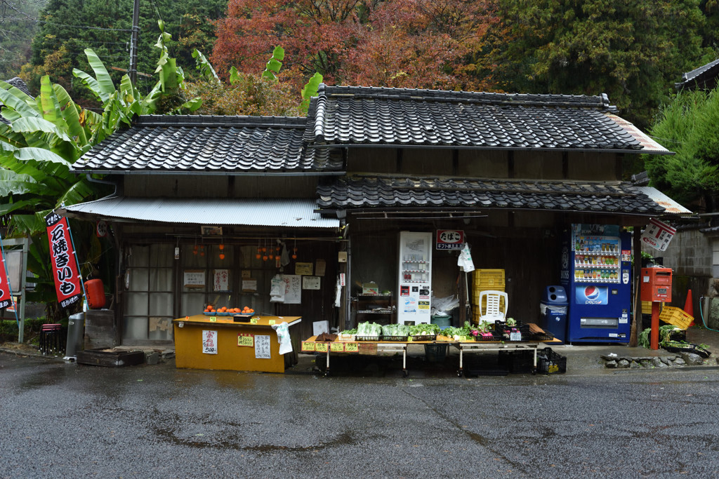 今日は雨