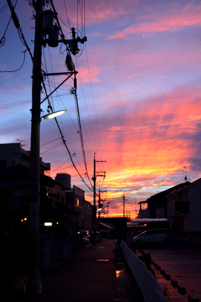 つかの間の光景