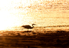 DSC_4370_169