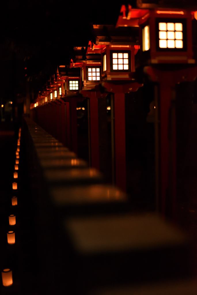 祭りの夜