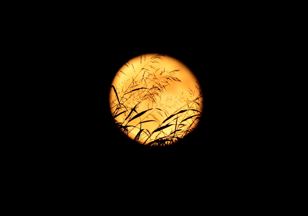 窓