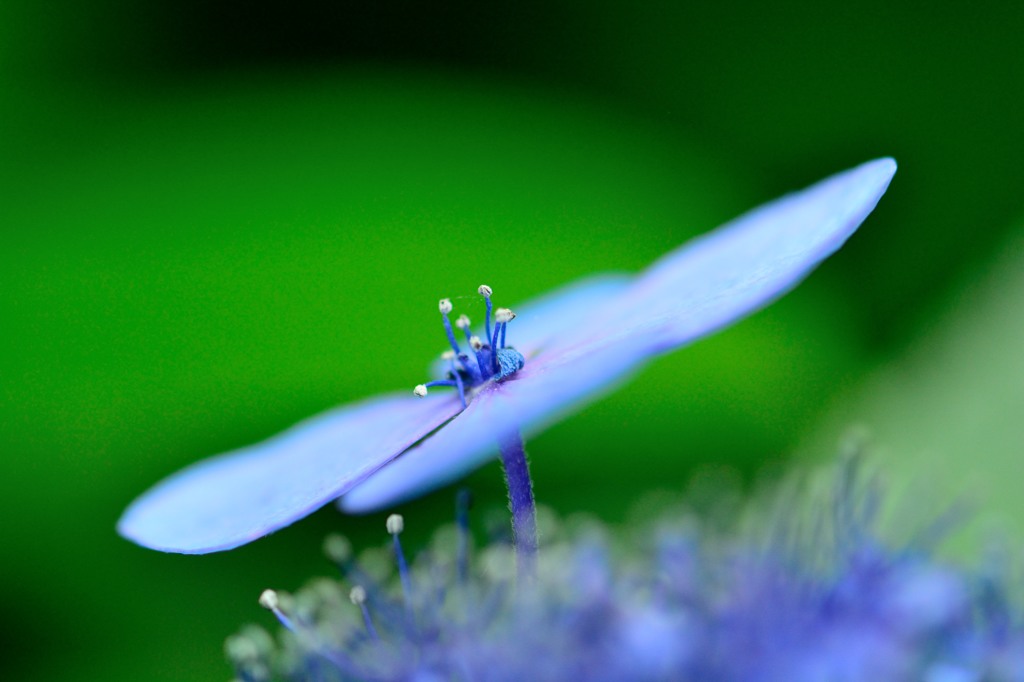 blue&green