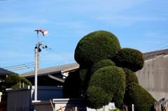 緑のモンスター