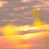 菜の花と夕日1