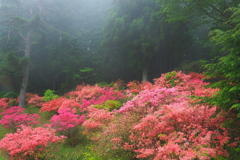 鳥見山公園