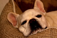 眠いの