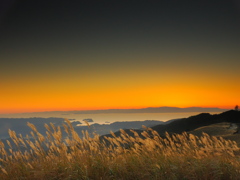 ススキ山夕景