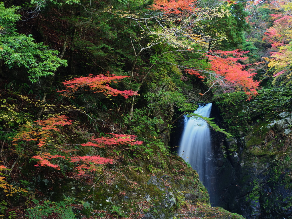 高野の大滝