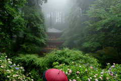 雨の岩船寺