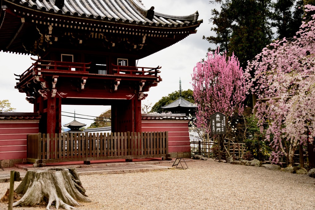 当麻寺