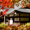 弘川寺の秋