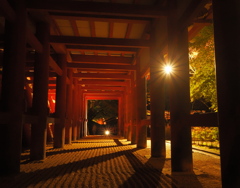 談山神社ライトアップ