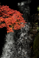 高野大滝