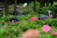 三室戸寺　