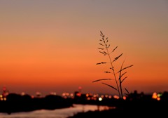 夕焼け秋