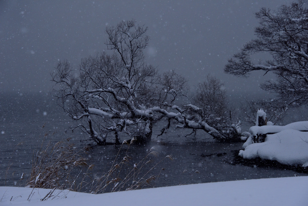 雪の湖畔