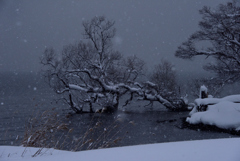 雪の湖畔