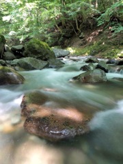 渓流66