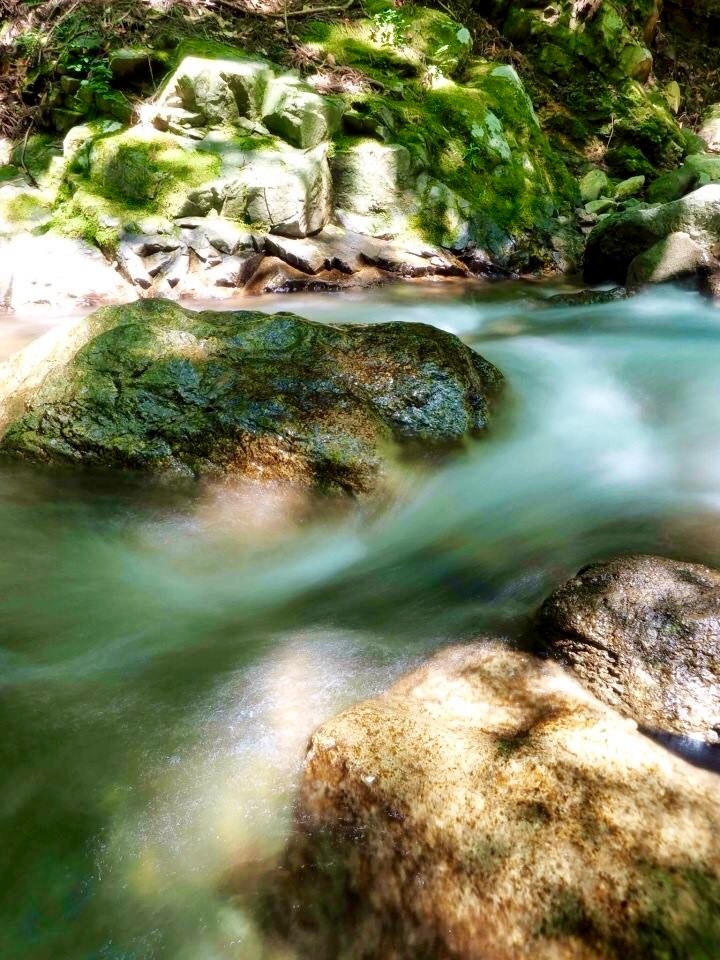 涼