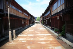 茶