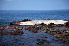 海からの