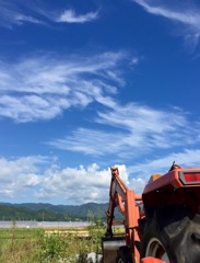 夏、トラクター