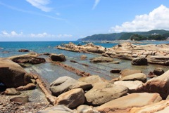 夏、海