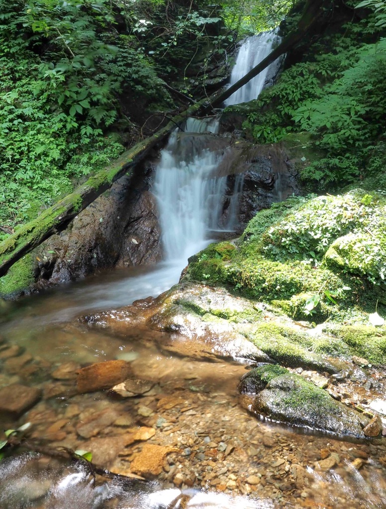 丹沢水系
