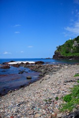 海
