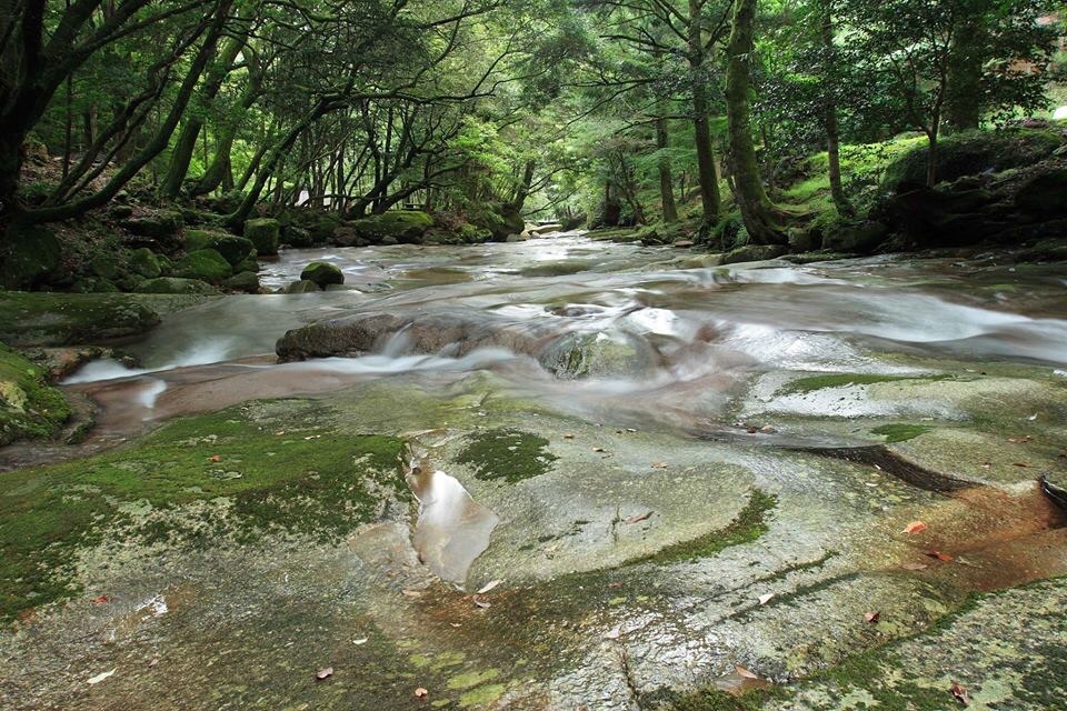 涼流