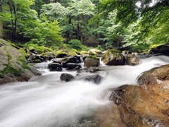 渓流