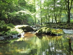 光と水